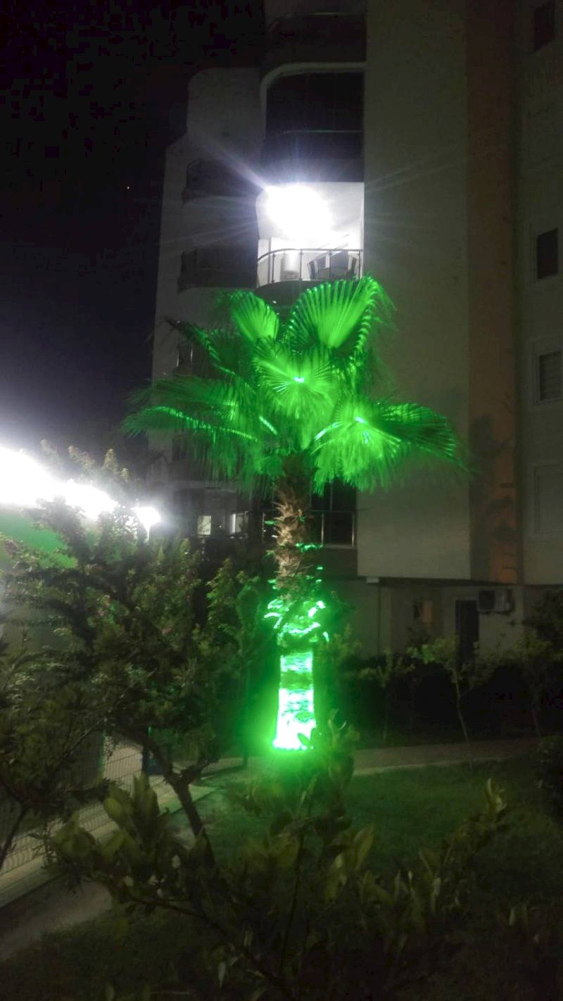 ​Işıklı Ağaç Süsleme